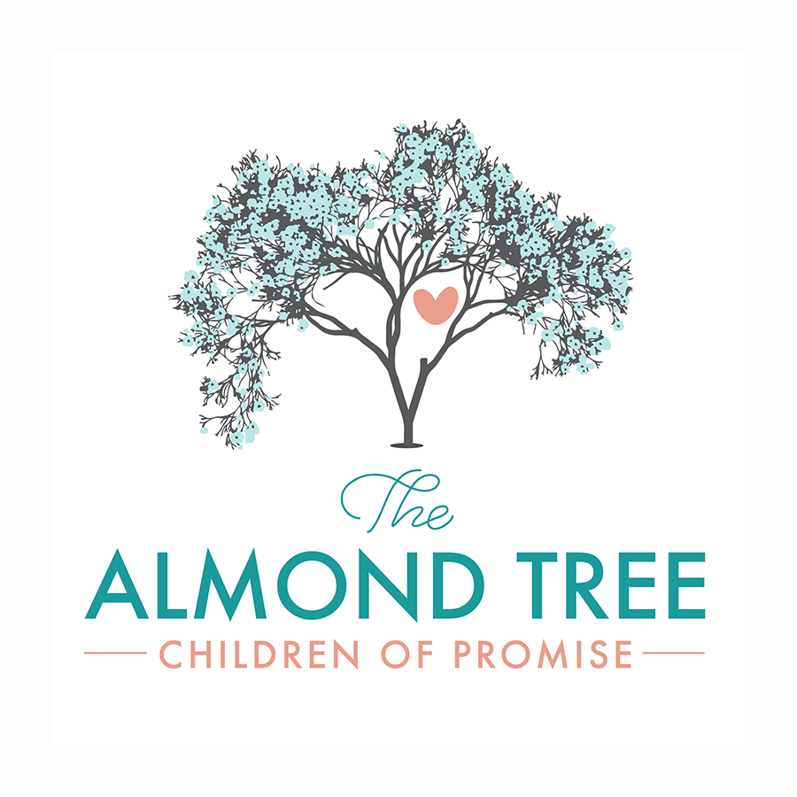 The Almond Tree